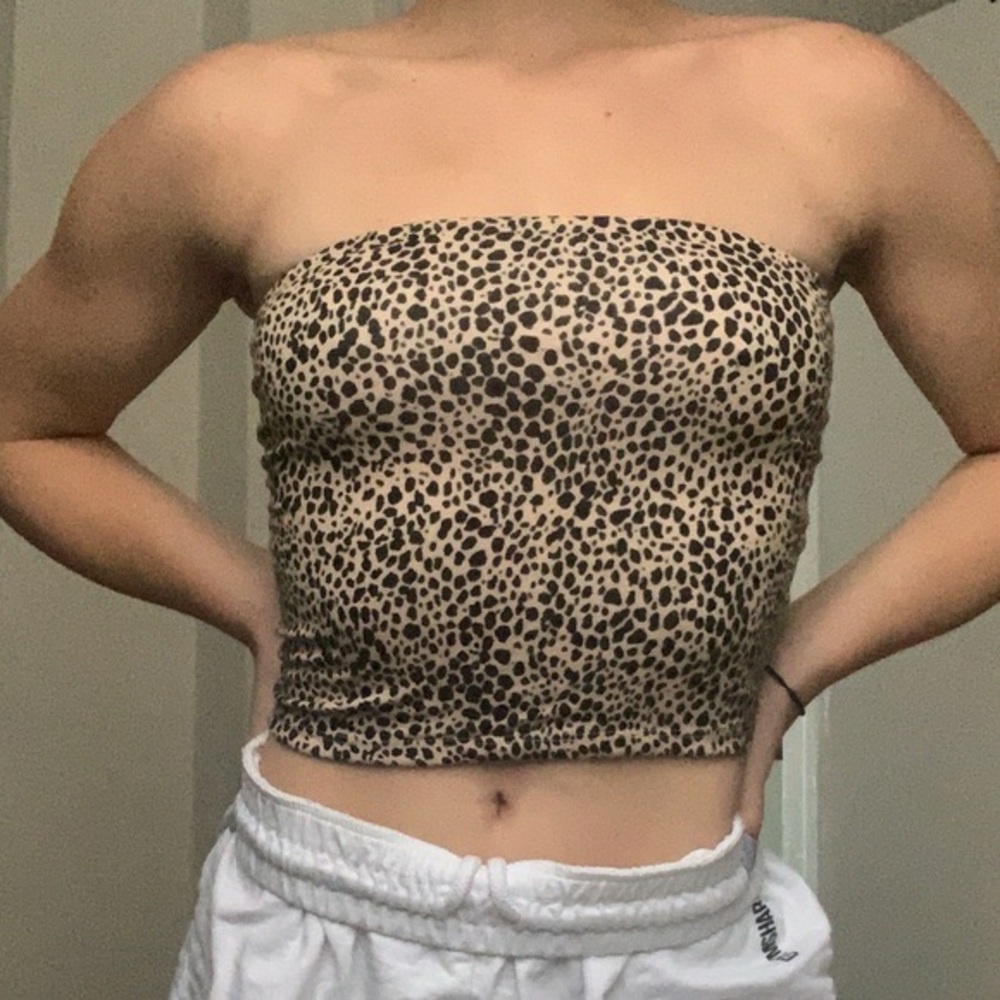 American Eagle Outfitters Tan Strapless Fitted Crop Top